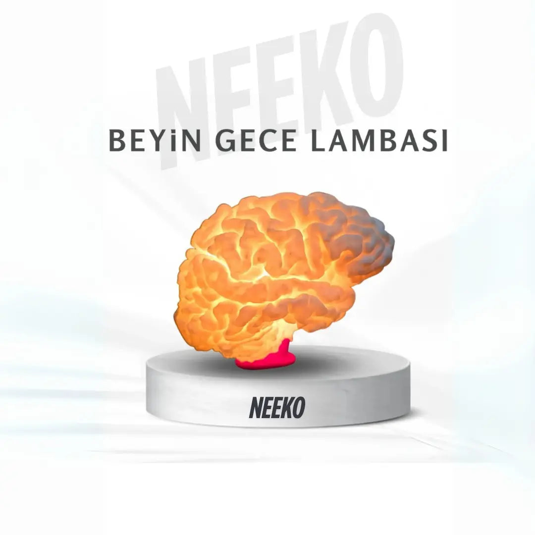 Beyin Gece Lambası – 3D Baskı LED Aydınlatmalı Dekoratif Lamba