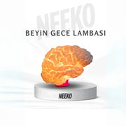 Beyin Gece Lambası – 3D Baskı LED Aydınlatmalı Dekoratif Lamba